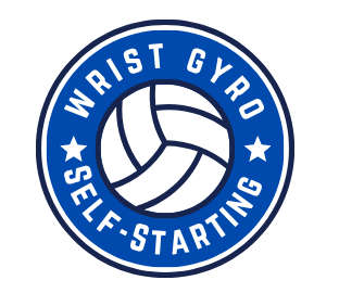 Wrist Gyro Ball